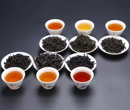 茶葉未來發展，名茶PK民茶